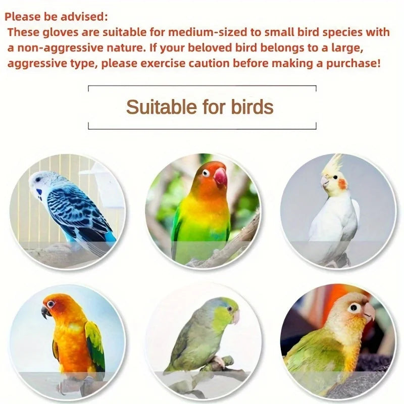 Bird Training Anti-bite Gloves Small Animal Handling Wire Chewing