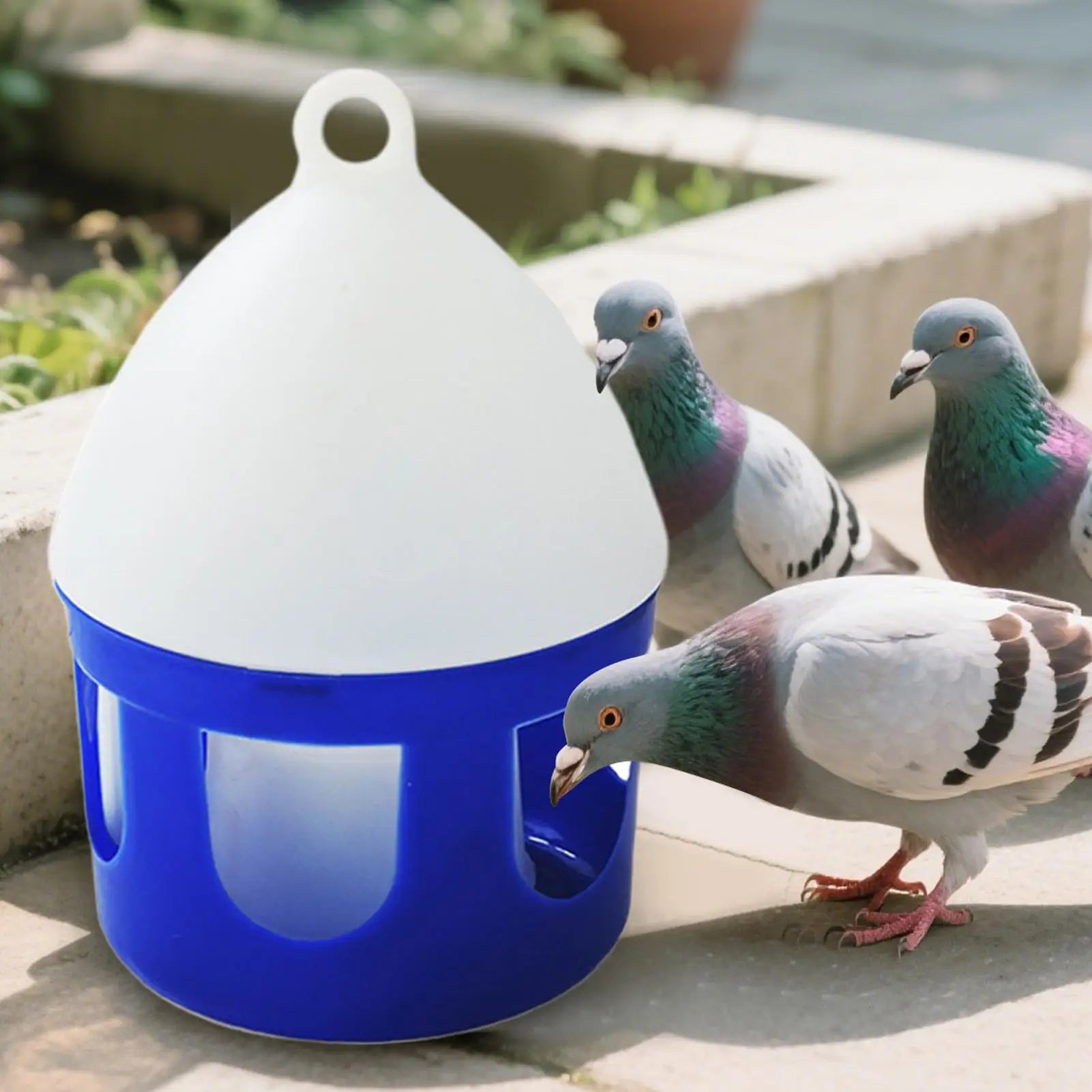 Pigeon Feeder 2L Large Bird Drinker Removable Spill-Proof Pigeon Waterer for Outdoor Bird Cage Hydration Duck Keeping Brooder Zpaxo