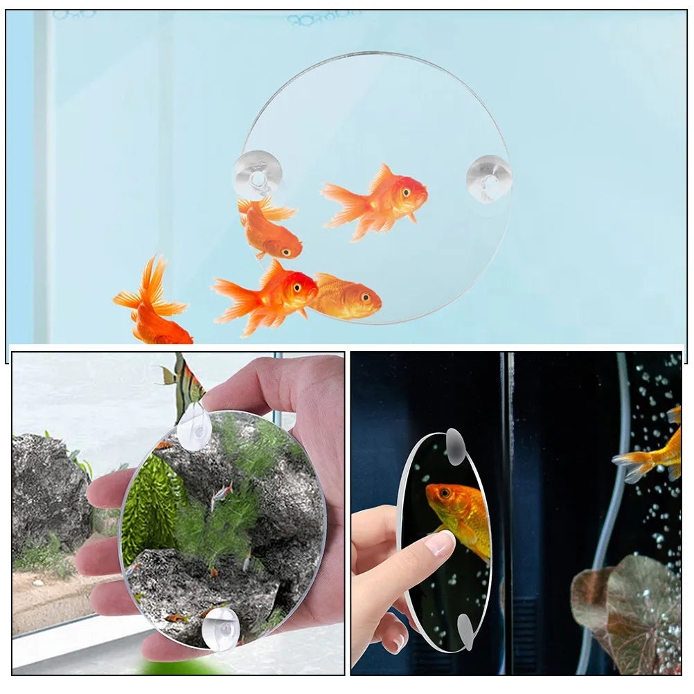 Betta Fish Acrylic Mirror Single Side Suction Cup Tank Training