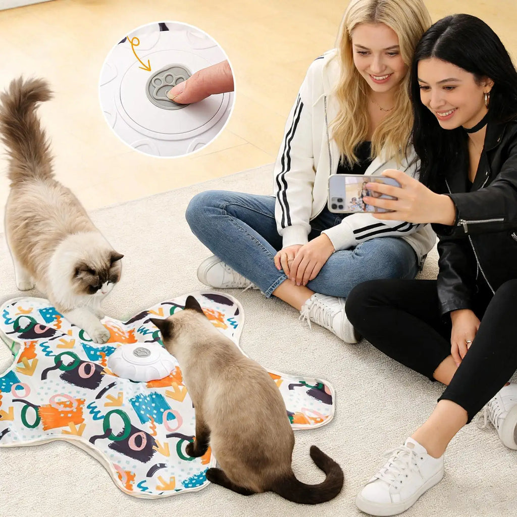 Cat Spin Mat 3 Modes Interactive Touch Activated Mat Star Shape Interactive Cat Toy for Kitten Play Home Indoor Bored Relief Zpaxo