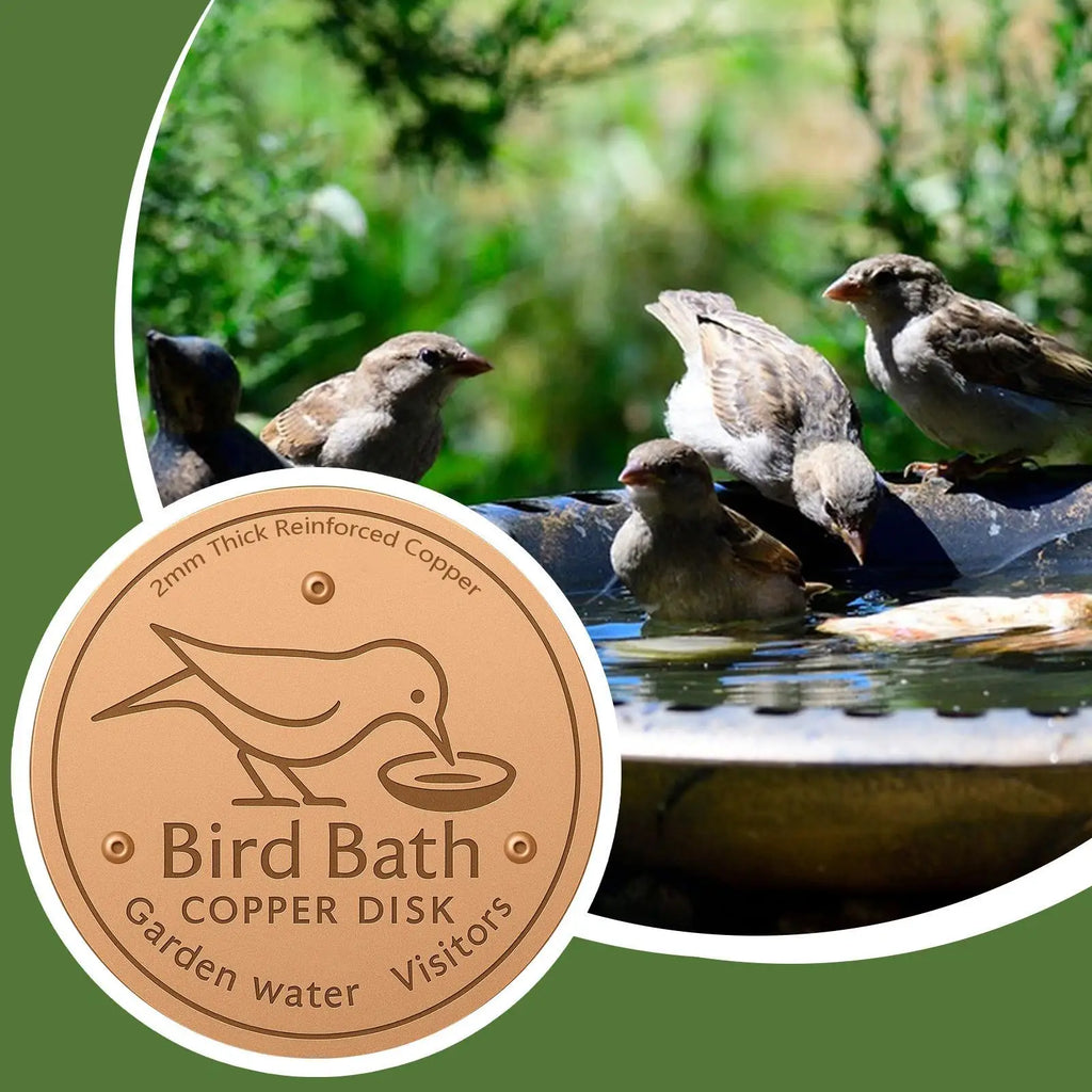 Bird Bath Copper Disk Birdbath Cleaner Feeder Accessories Triple-Point Support Purification Disc for Water Bowl All-Season Zpaxo