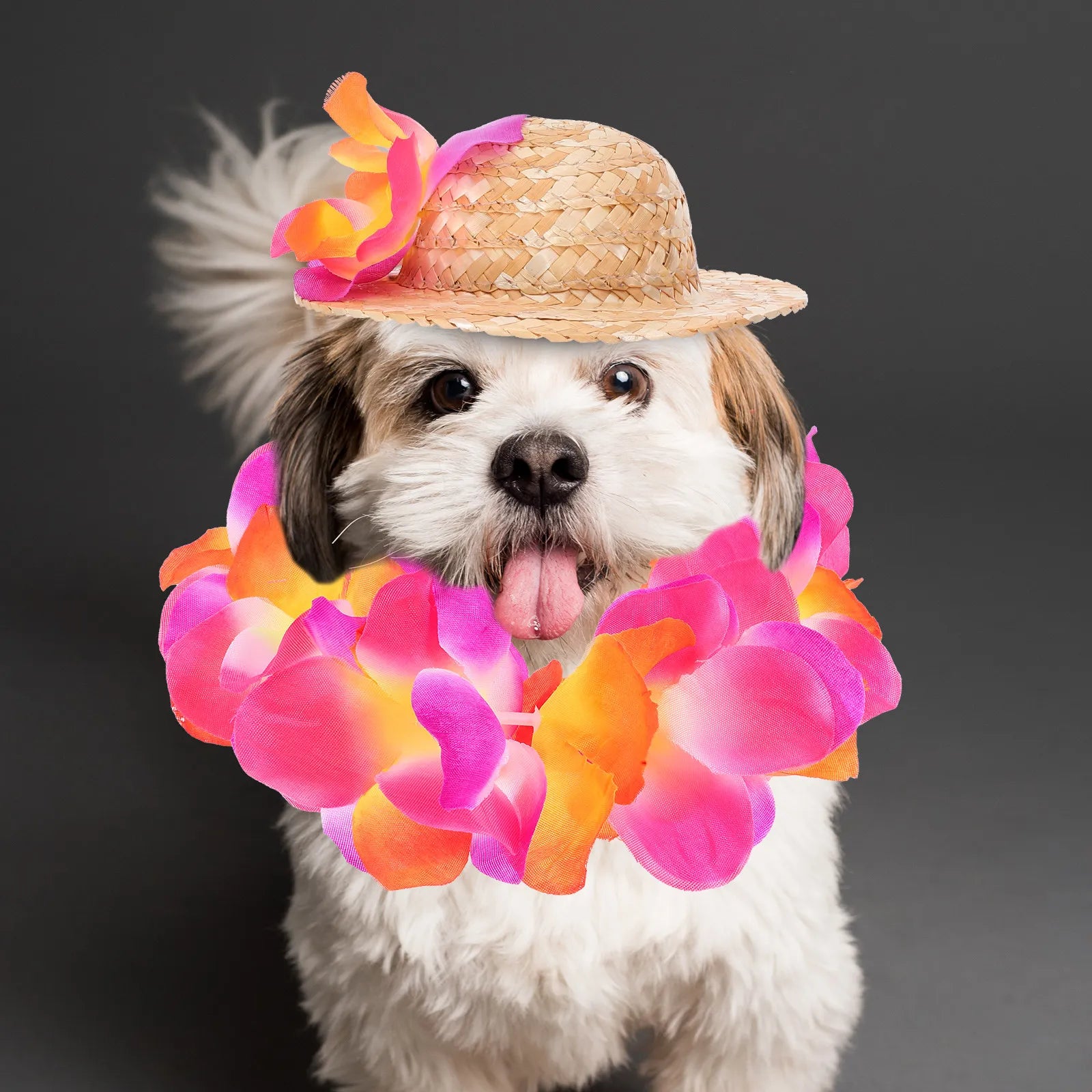 Pet Clothing Puppy Hawaiian Costume Breathable Straw Hat Garland