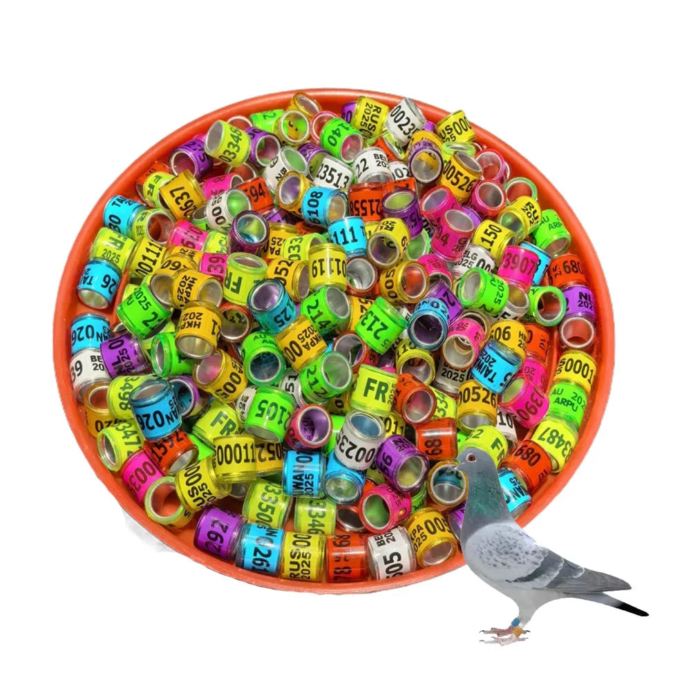 2025 Multicolor Pigeon Foot Ring Word Earrings Durable Bird Racing