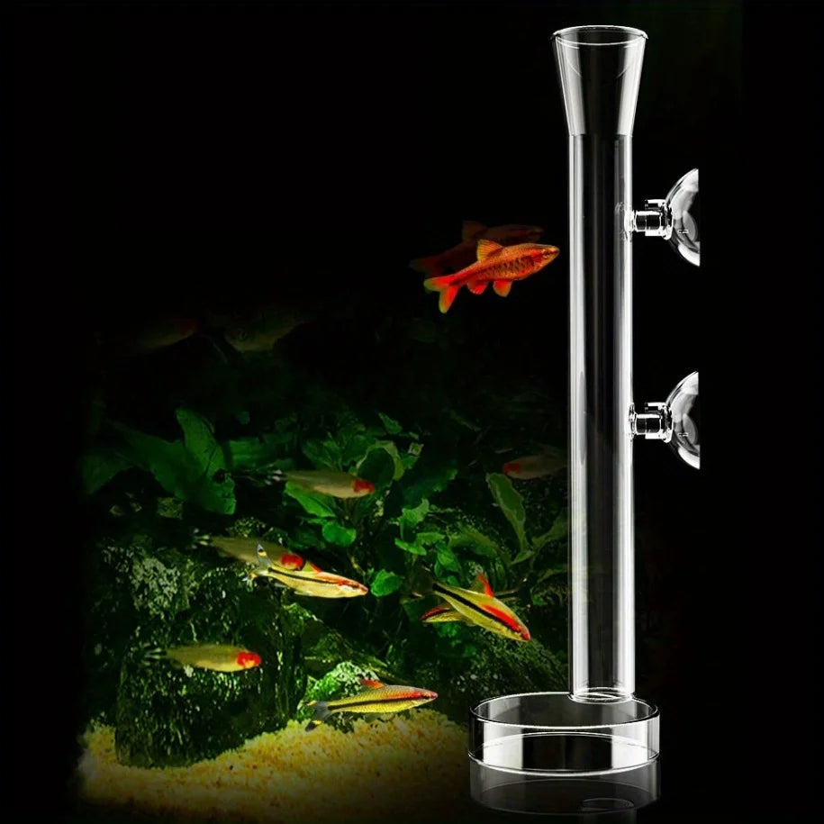 Aquarium Glass Feeding Tube Shrimp Dish Bell-shaped Borosilicate