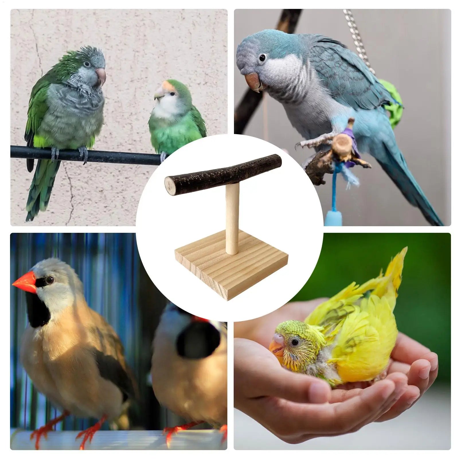 Natural Wood Parrot Perch Stand T Shape Desktop Bird Training Branch