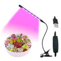 Full Spectrum LED Grow Light – Dimmable Indoor Plant Lamp