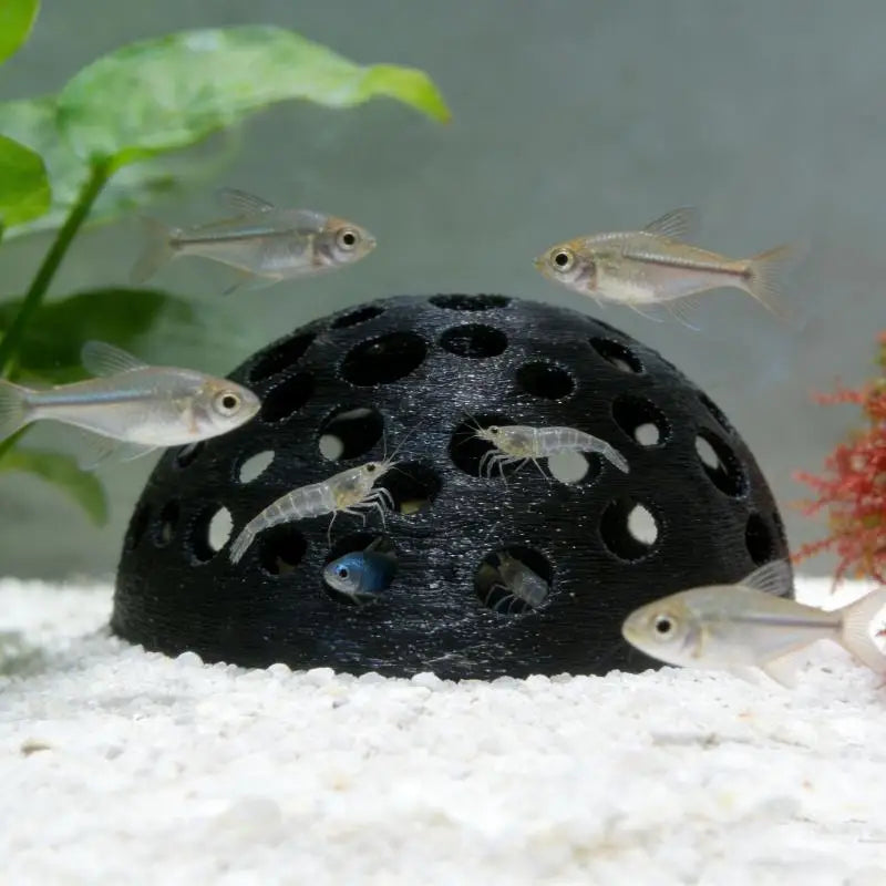 Aquarium Hidden Cave Shelter Small Fish Breeding Rest Play Zpaxo