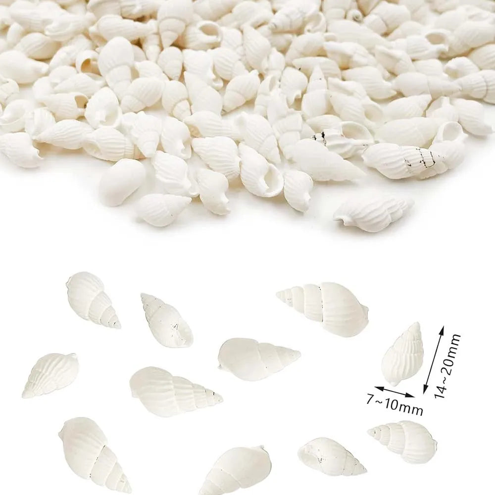 About 100pcs Natural White Beach Sea Shell BeadsTrumpet Spiral Seashells for DIY Craft Jewelry Making Wedding Party Home Decor Zpaxo