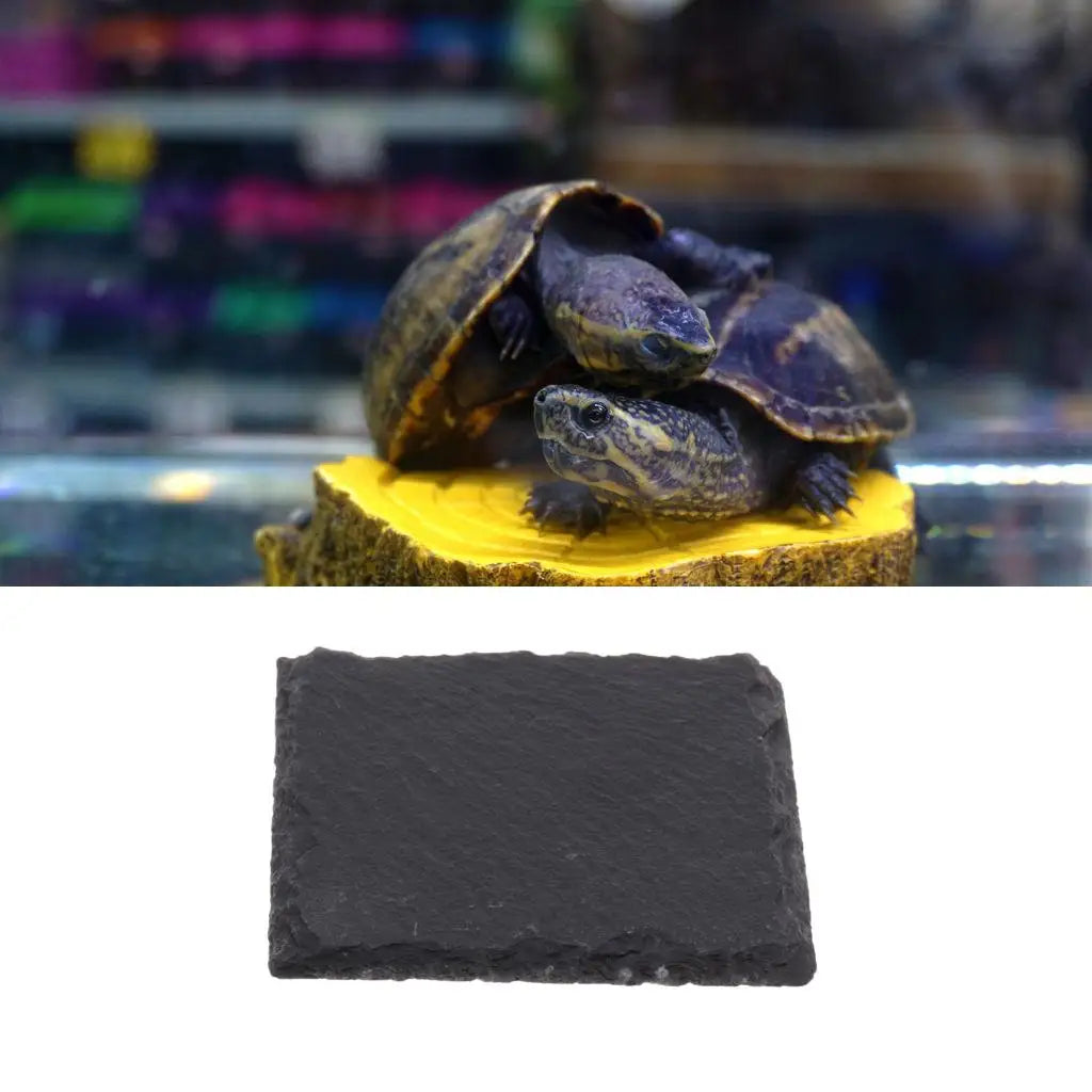 Multifuncational Turtle Basking Pier Resting Place Reptile Dish Plate Zpaxo Default Title
