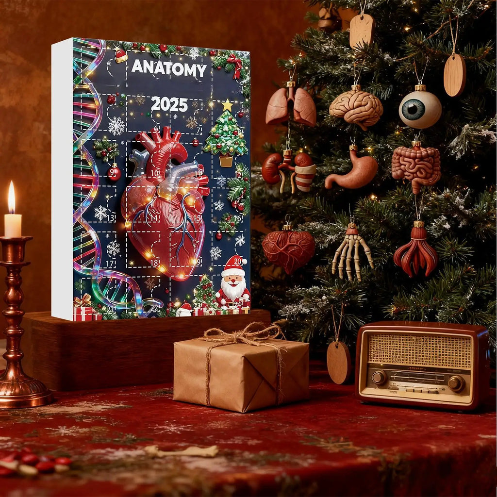 2025 Science Theme Advent Calendar 24 Days Countdown Decorations