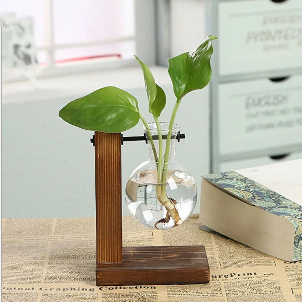 Glass Bulb Vase with Wooden Stand | Hydroponic Desktop Planter Hydroponic Glass Vase Zpaxo Style 1