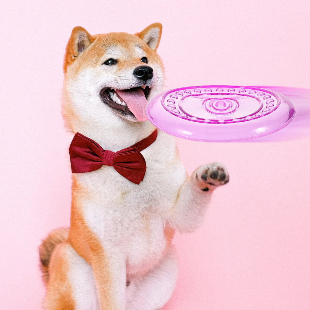 Dog Flying Disc Outdoor Chewing Throwing Plate Puppy Training Play