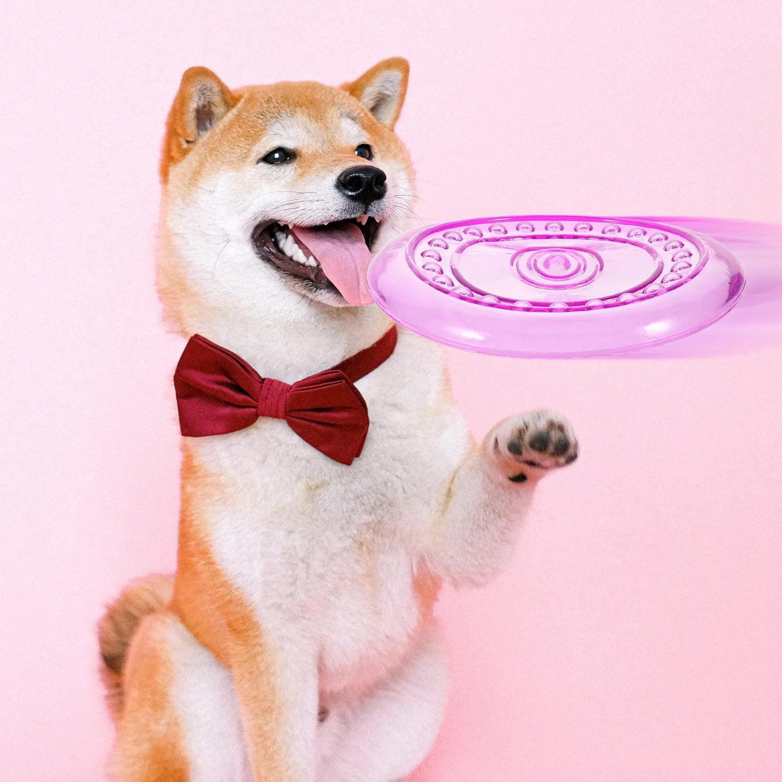 Dog Flying Disc Outdoor Chewing Throwing Plate Puppy Training Play