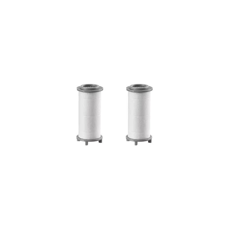 Portable Pressurized Filtration Shower Head with Antibacterial Nozzle for Water Purification Suitable for Travel and Hotels Zpaxo 2pcs filter element