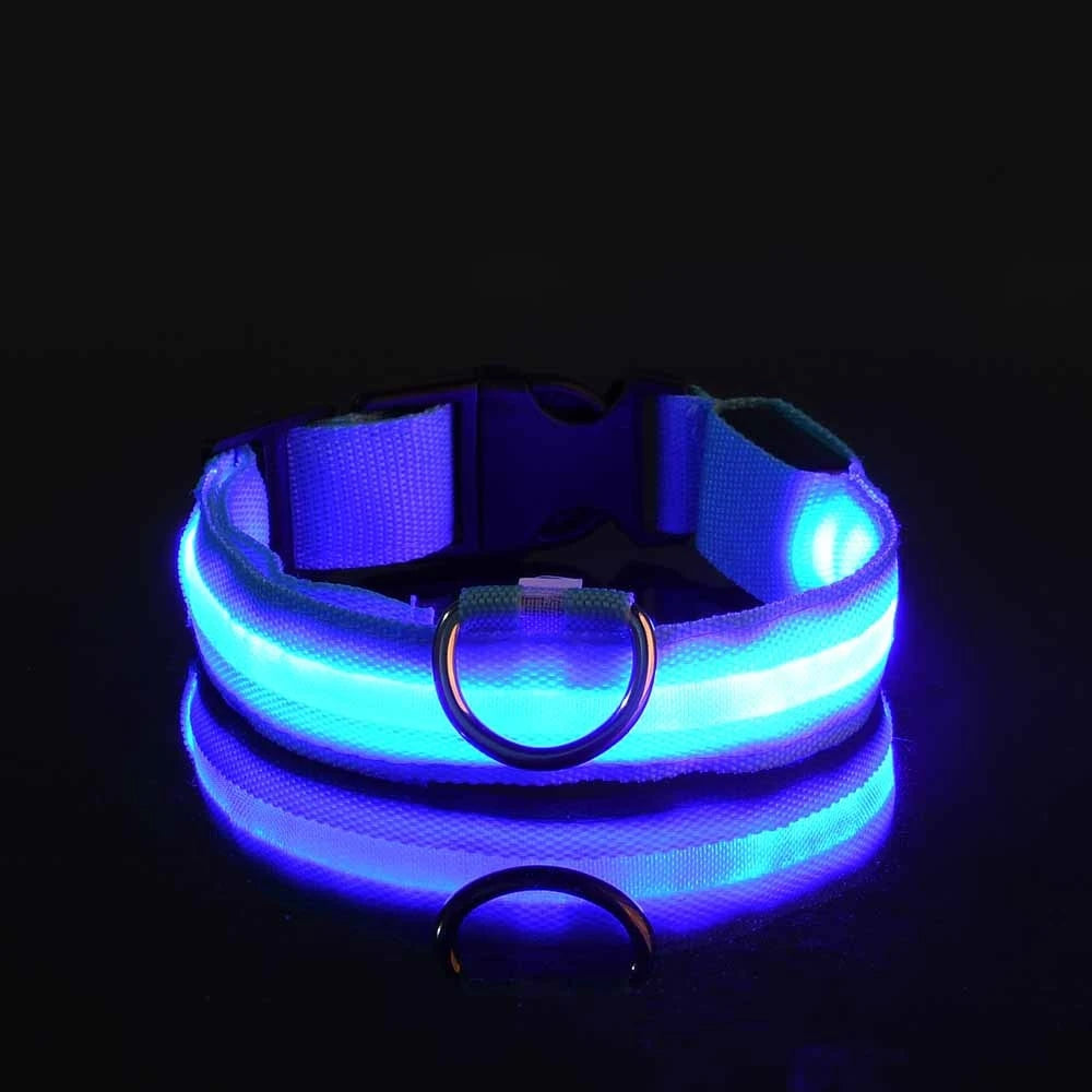 Nylon LED Night Safety Flashing Glow In The Dark Dog Leash Dogs Luminous Fluorescent Pet Dog Collar Zpaxo Blue XS（old）