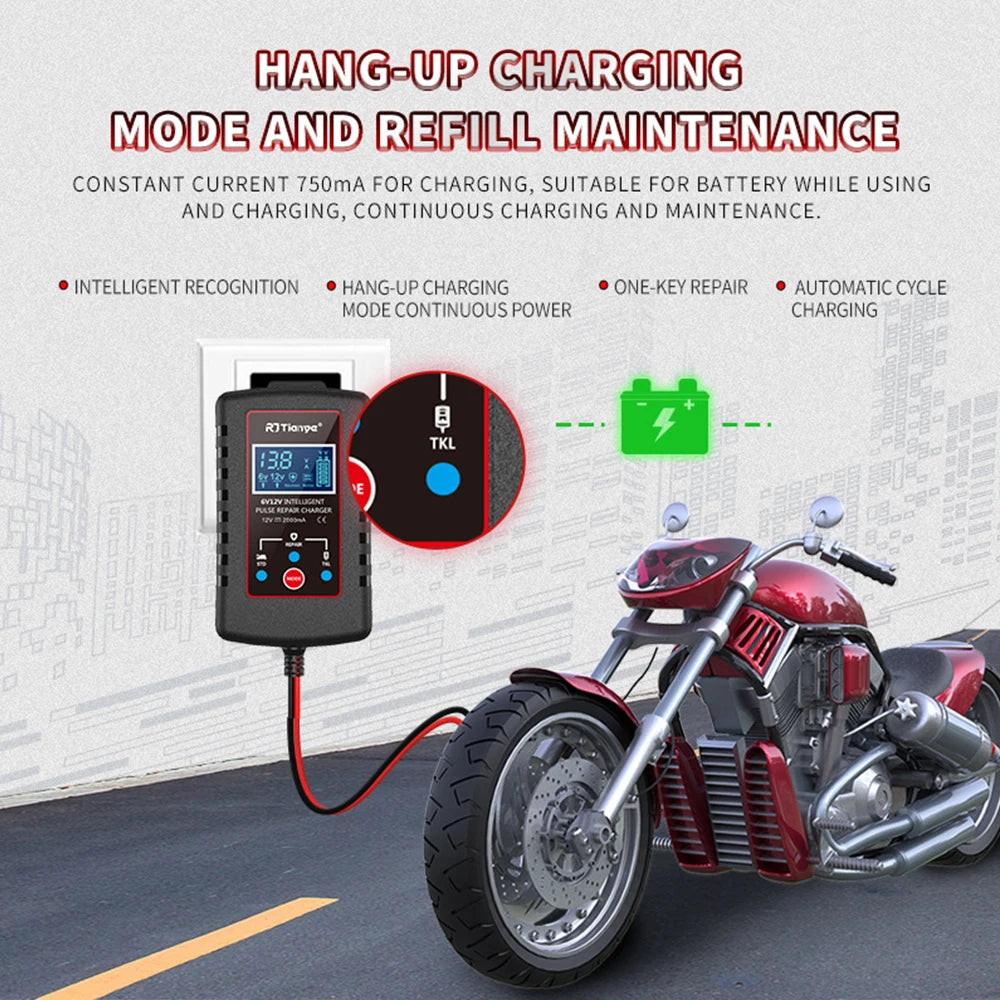 Smart Battery Charger Motorcycle Lawn Mower Car Automatic Float 6V