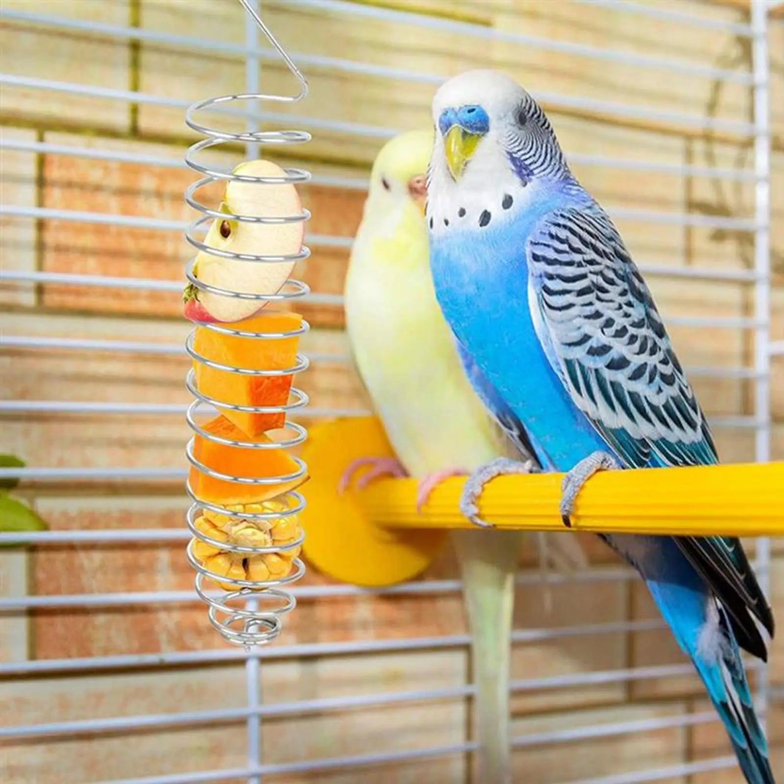 Spiral Parrots Foraging Toys Bird Fruit Feeding Tool Bird Food Basket Bird Food Holder for Grain Fruit Birdcage Pet Accessories Zpaxo