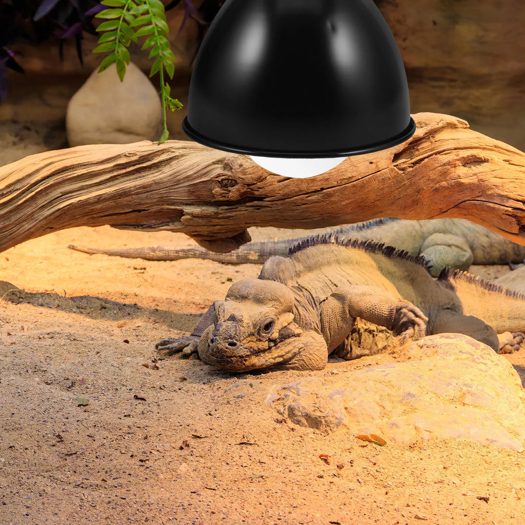 Reptile Anti Scald Heat Lamp Cover Metal Dome Poultry Brooder