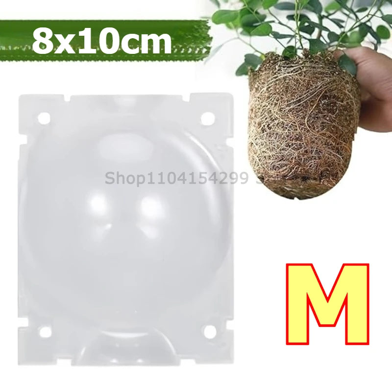 Plant Rooting Ball Grafting Rooting Box Breeding Case High Pressure Plant Root Growing Box for Garden Planting Supply Zpaxo M 10pcs