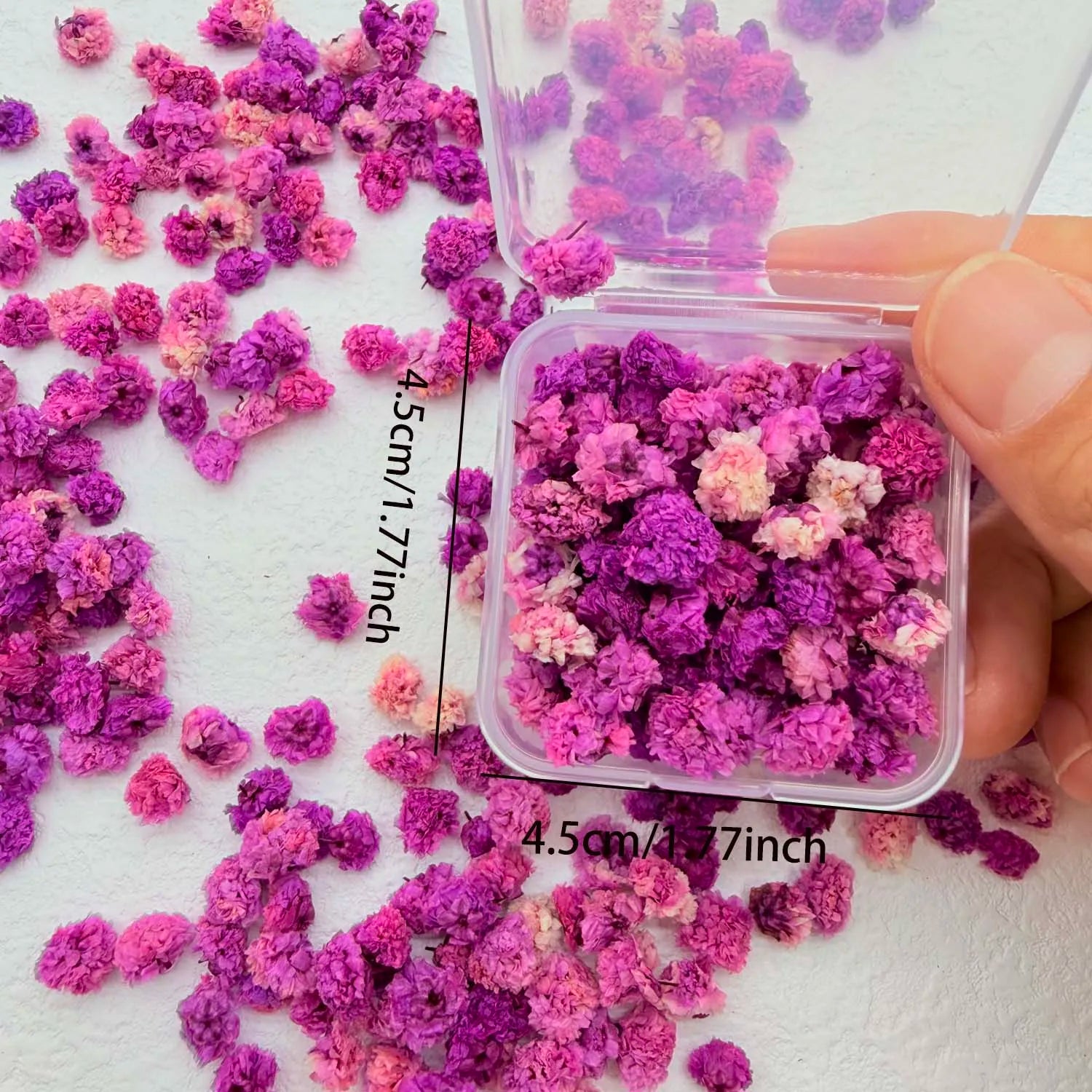 Colorful Daisy Flower Heads – DIY Resin, Candle & Jewelry Filler Craft Flower Filler Zpaxo rose red S