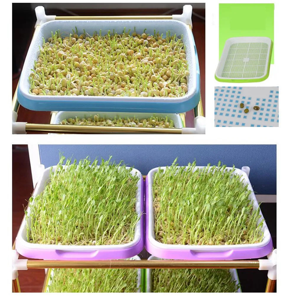 Premium Sprouter Tray Set Soil-Free Sky-Blue Bpa Free PP Material Sprouting Multiple Seeds Storage Tray Fruit Vegetable Holder Zpaxo