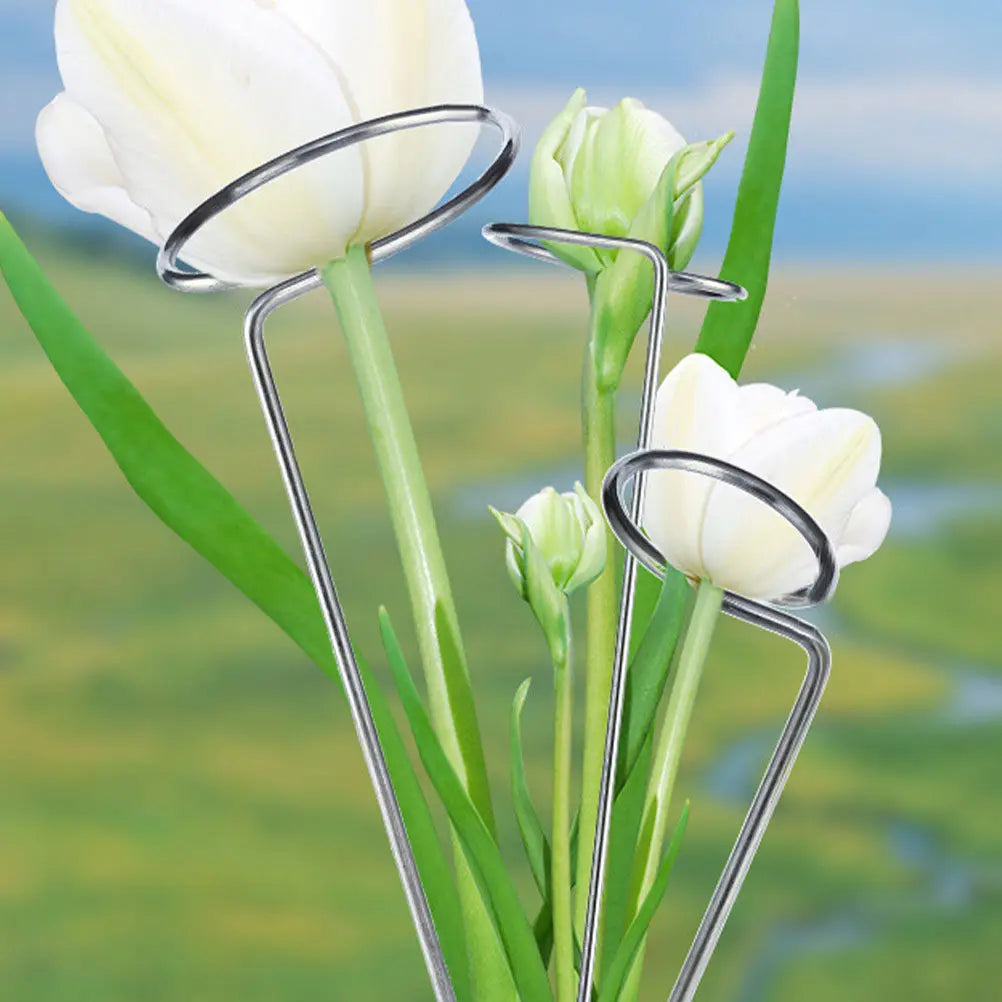 8Pcs Plant Support Stakes Iron Garden Flower Support Bracket Climbing Plant Rack for Potted Plants Tomatoes Vines Vegetables Zpaxo