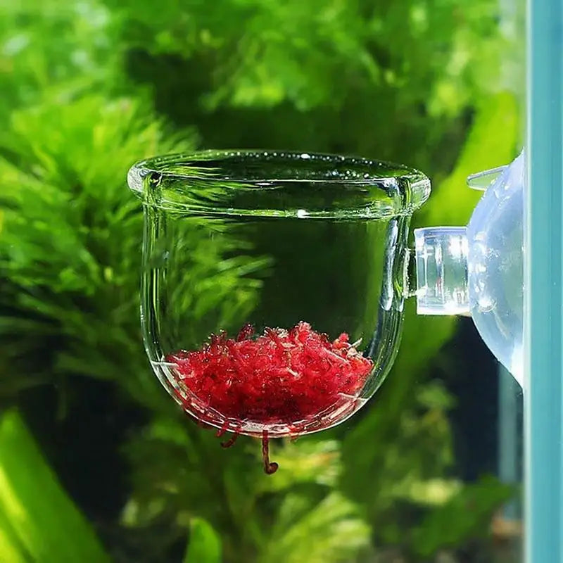 Acrylic Aquatic Plant Cup Suction Holder Aquarium Fish Tank Pot