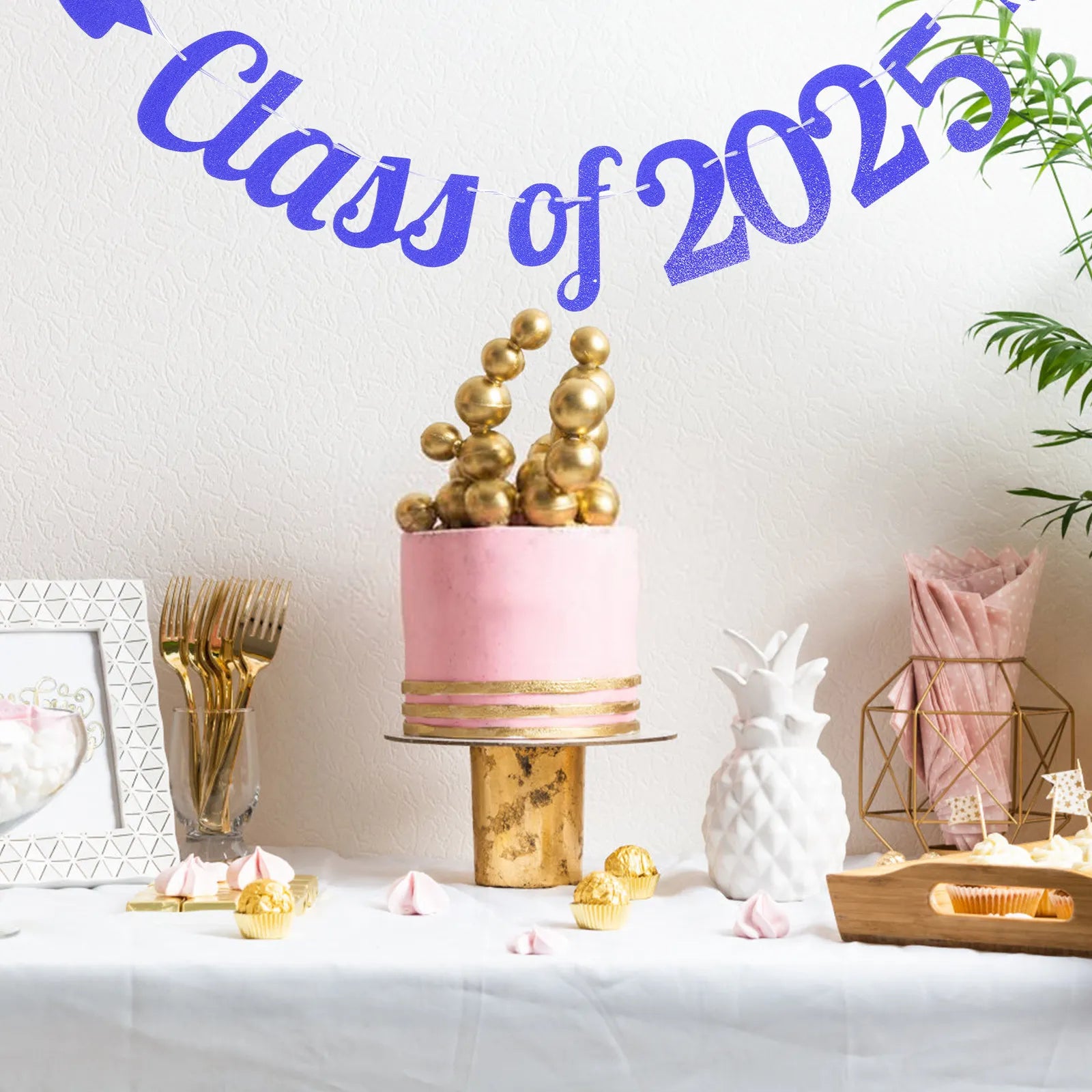Graduation Banner 2025 Party Decoration Photo Prop Backdrop Ceremony