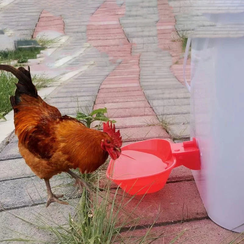 4 Chicken Drinking Cup Bucket Automatic Drinker Feeder Plastic