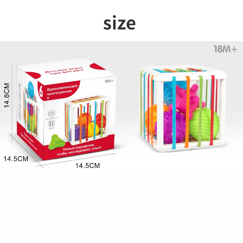 Montessori Toys Children 0-12 Months Early Education Rainbow Cesare