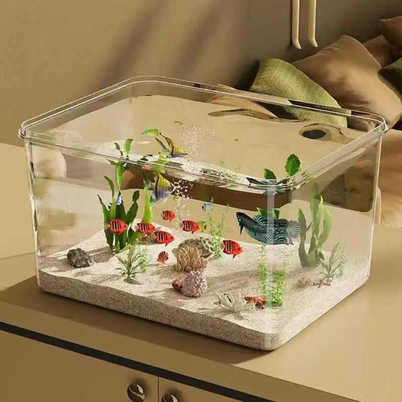 Frameless Tabletop Aquarium Shatterproof Clear Acrylic Aquatic Scene