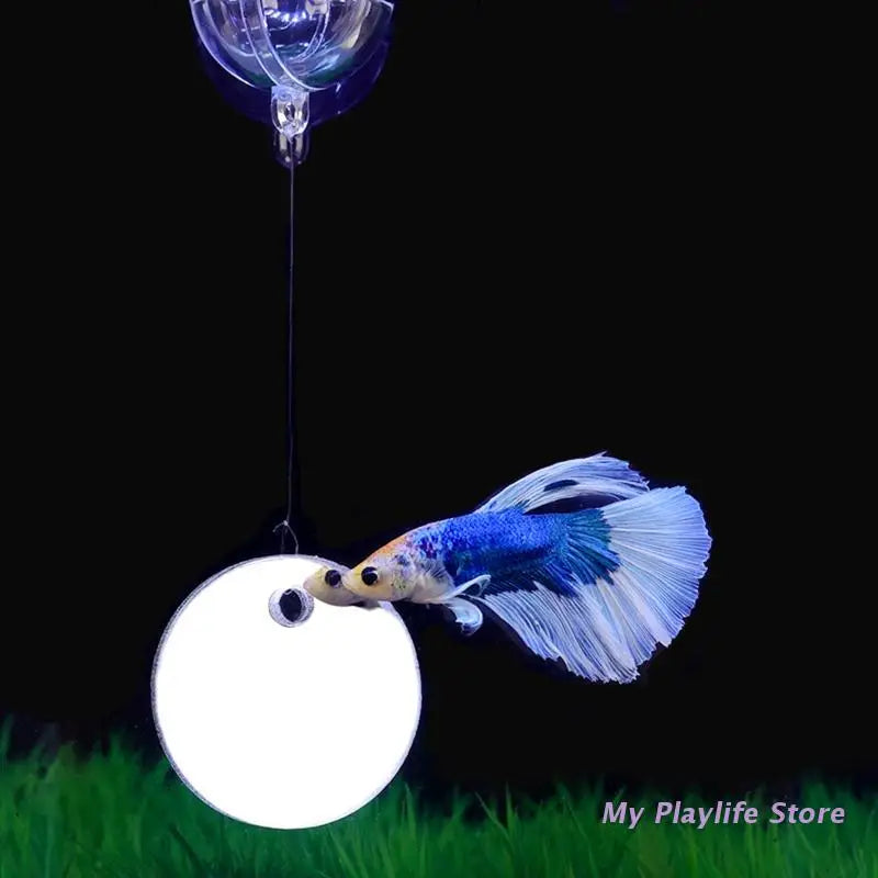 Floating Betta Exercise Mirror Dia. 5cm/6cm/7cm Floating Round Mirror Fish Tank Antidepressant Betta Training Mirror Zpaxo