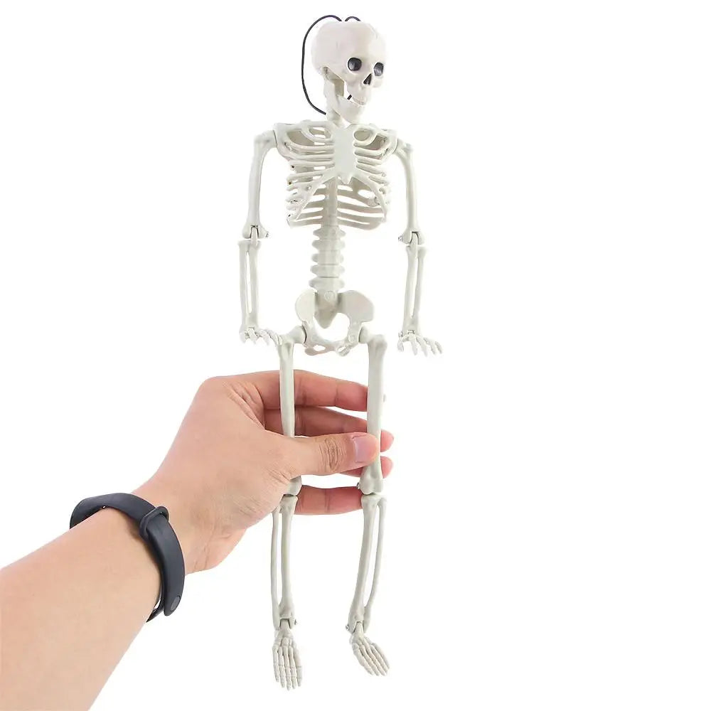 40cm Ornaments Car interior accessories Biology teaching Human Bones Halloween props Car Rearview mirror pendant Skeleton model Zpaxo