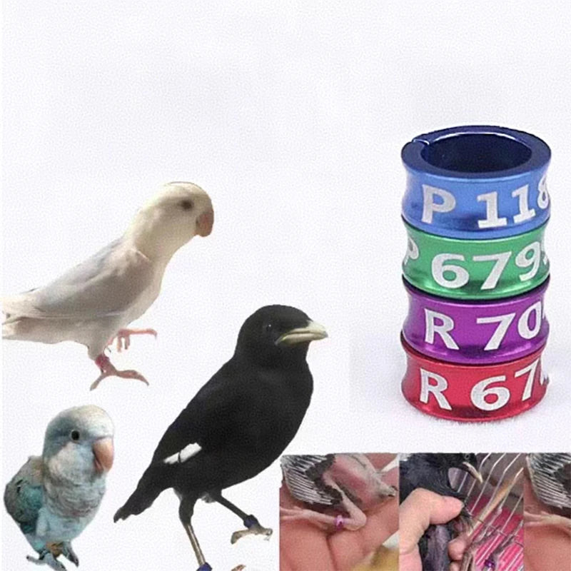 Split Budgerigar Rings Aluminum Bird Leg Bands Non-custom
