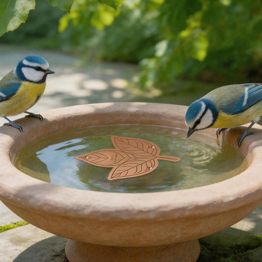 1PC Bird Bath Copper Birdbath Purifier With Triple-Point Support Bath Disk Ornaments Feeder Accessories For Outdoor Bird Baths Zpaxo