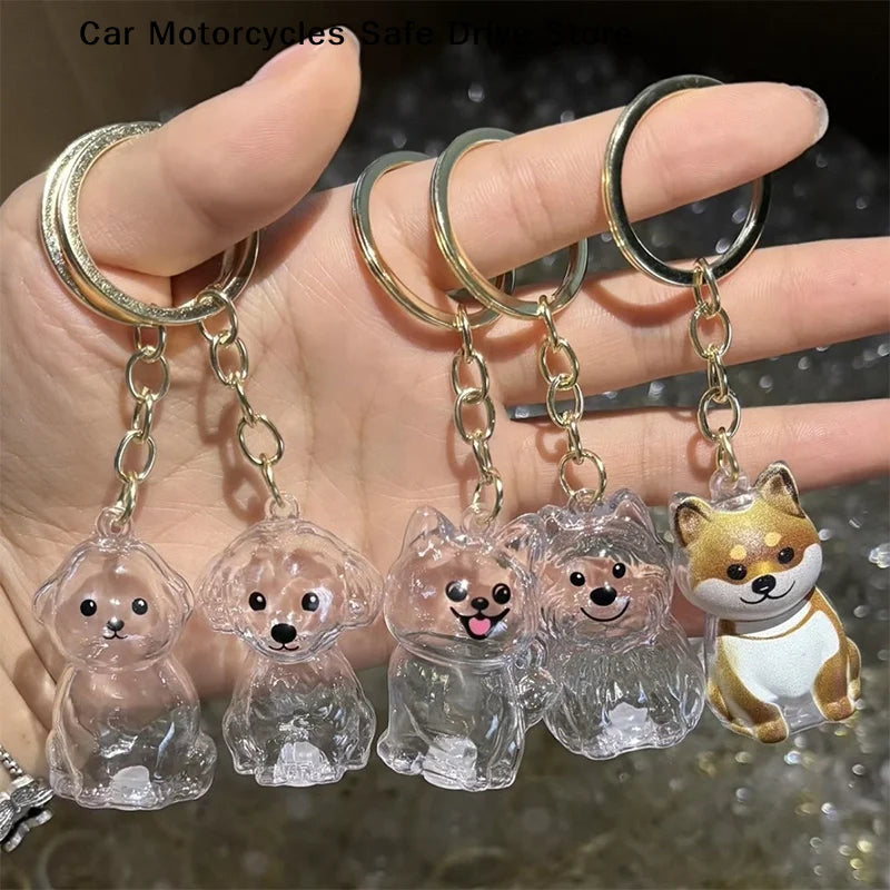 Dog Hair Storage Pendant Keychain Transparent Cat Fur Keepsake