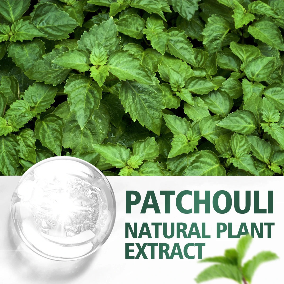 100ml/60ml/30ml Patchouli Essential Oil Hydrating Moisturizing Skin Care Skin Care Body Care Fragrance Perfume Essential Oil Zpaxo