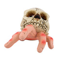 Resin 3D Skull Sculpture Ornament Hand-painted Realistic Halloween