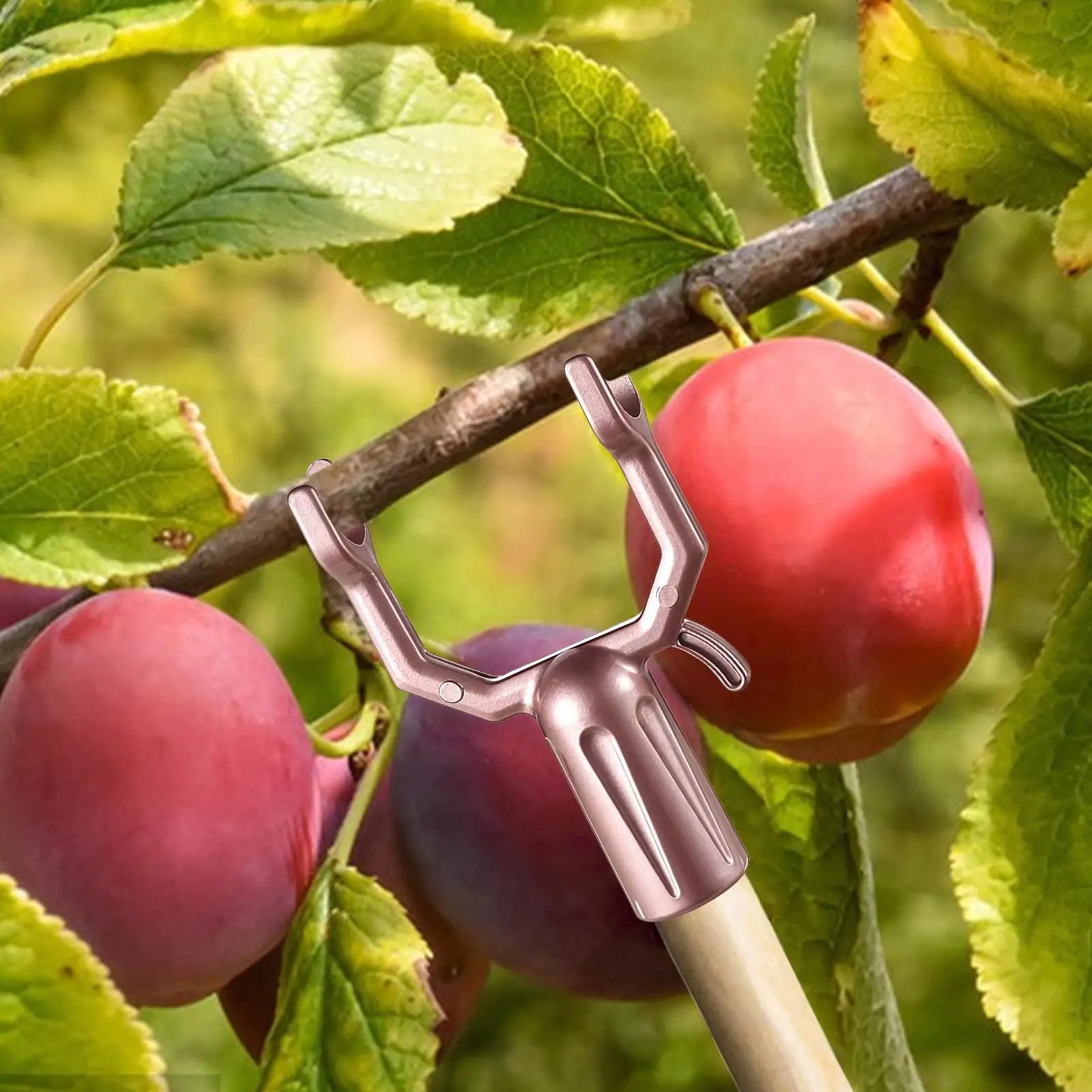 Tree Branch Support Pole 5-pieces Adjustable Plant Stabilizer Tree Supports For Garden Backyard Orchard Farm Nursery Patio Deck Zpaxo