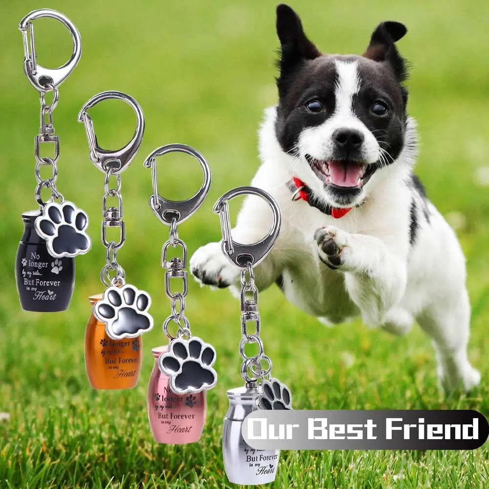 Paw Print Pet Urns Keychain Stainless Steel Dog Cat Ashes Keepsake Zpaxo
