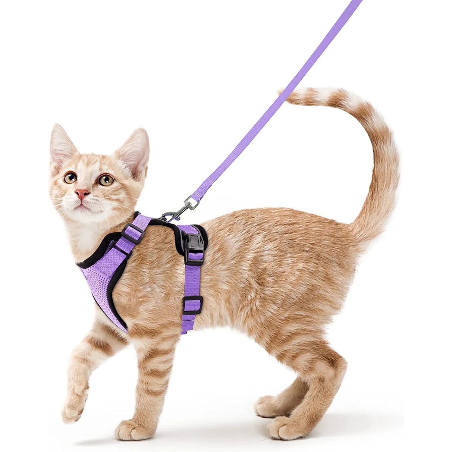 Cat Harness and Leash for Walking, Escape Proof Soft Adjustable Vest Harnesses for Cats, EasyControl Zpaxo VIOLET S
