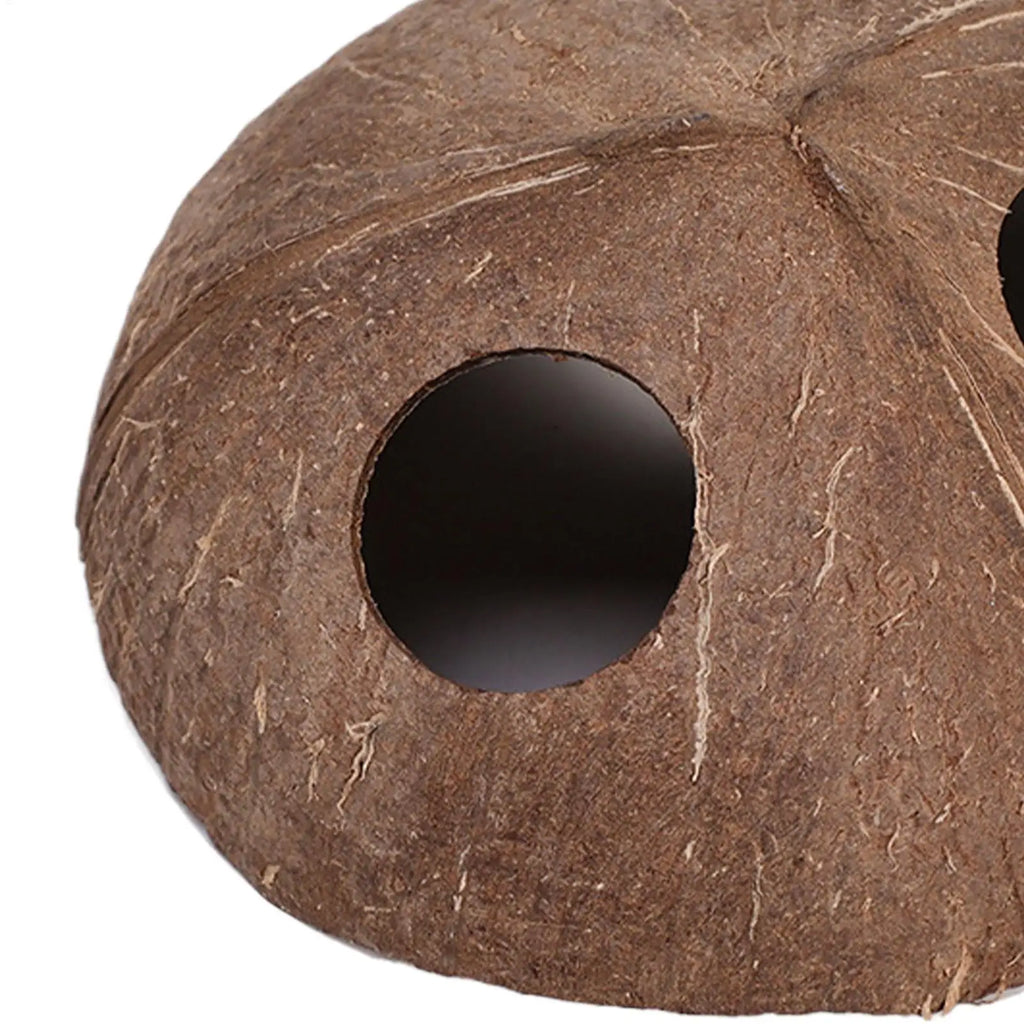 Reptile Shelter Coconut Cave Turtle Coconut Cave Reptile Hiding Cave Natural Coconut Shells Turtle Aquarium Hide House Decor Zpaxo
