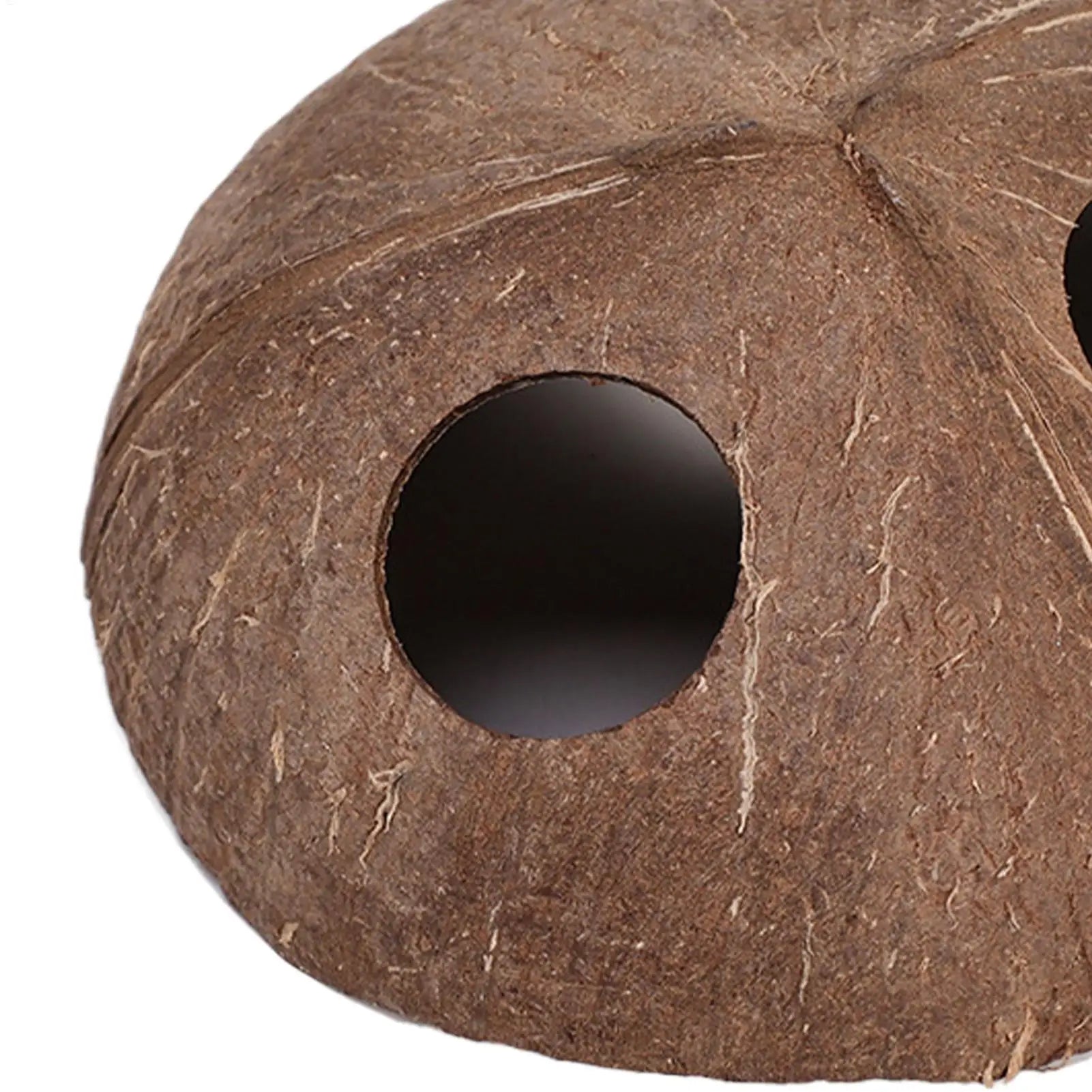 Reptile Shelter Coconut Cave Turtle Coconut Cave Reptile Hiding Cave Natural Coconut Shells Turtle Aquarium Hide House Decor Zpaxo