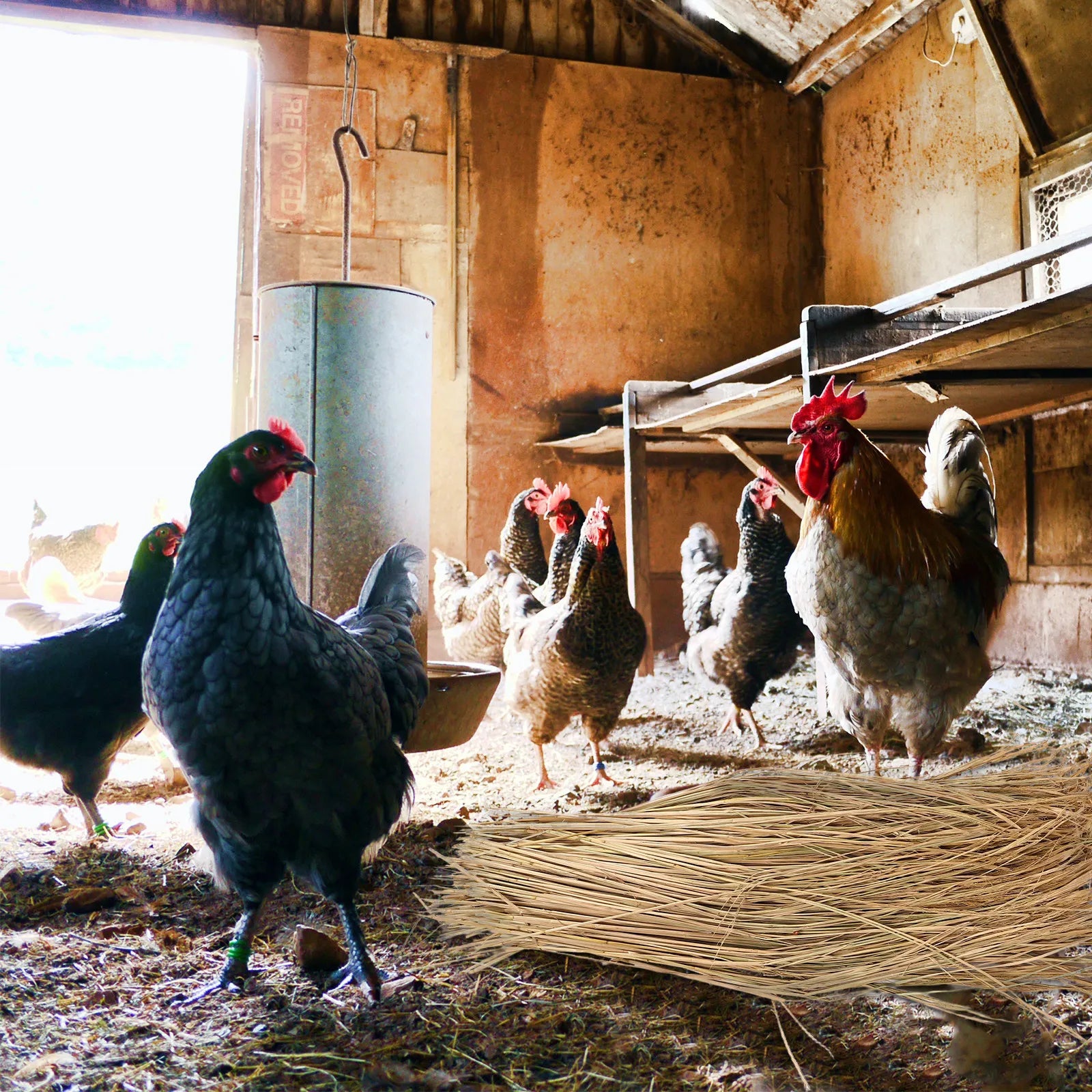 Straw Nesting Pads Chickens Natural Chicken Coop Bedding Nest Box