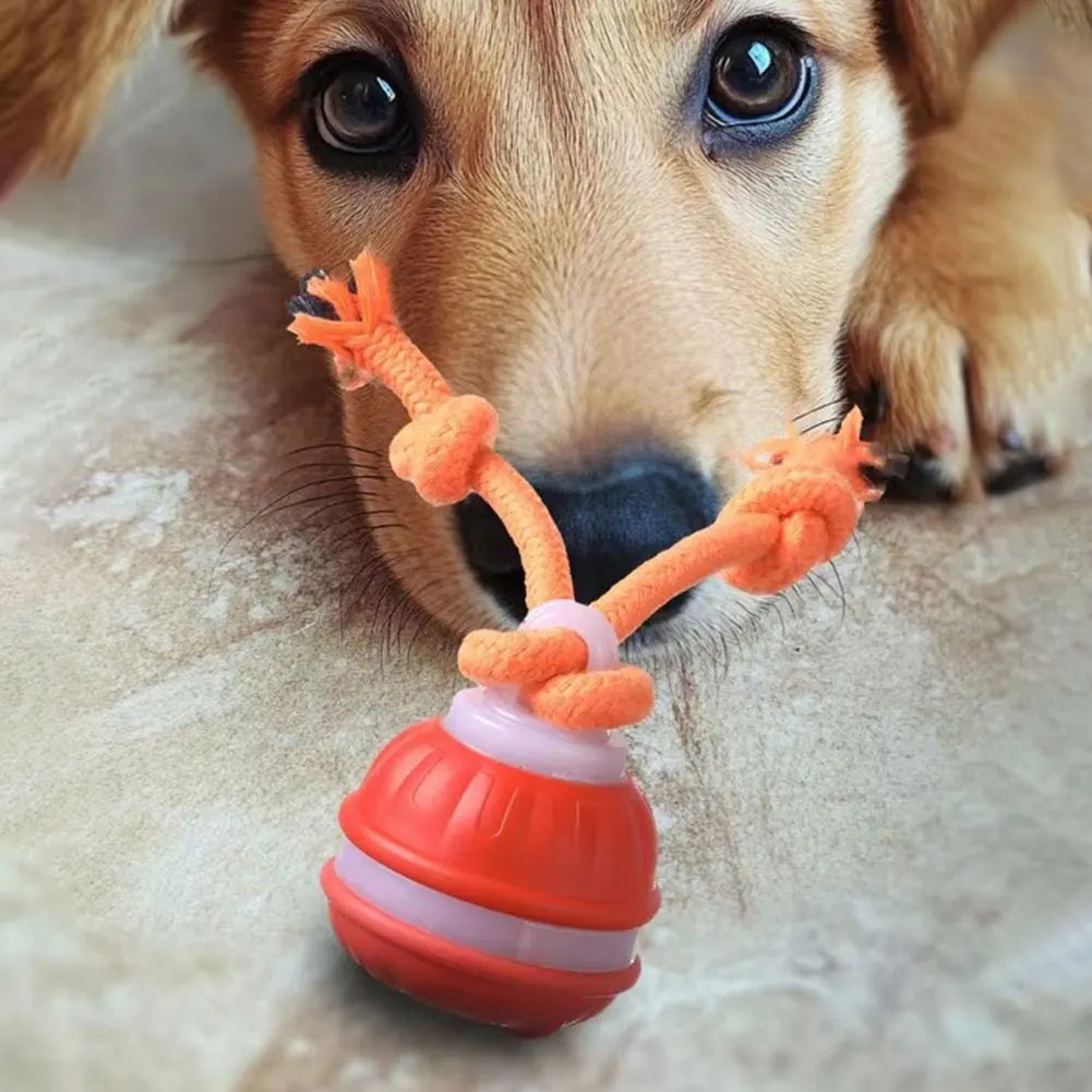Smart Dog Toy Ball Electronic Interactive Pet Moving Rope USB 3 Modes