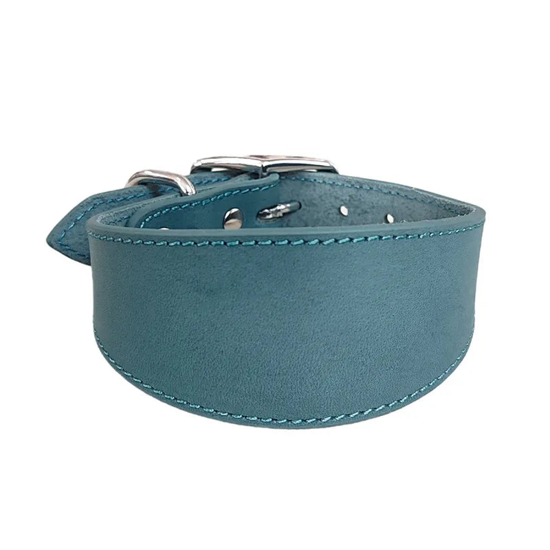 Collar Whippet Leather Soft Suede Pedded Wide Collars Lurcher and Italian Greyhound Saluki Sighthound Dog Supplies Zpaxo Sky-Blue L
