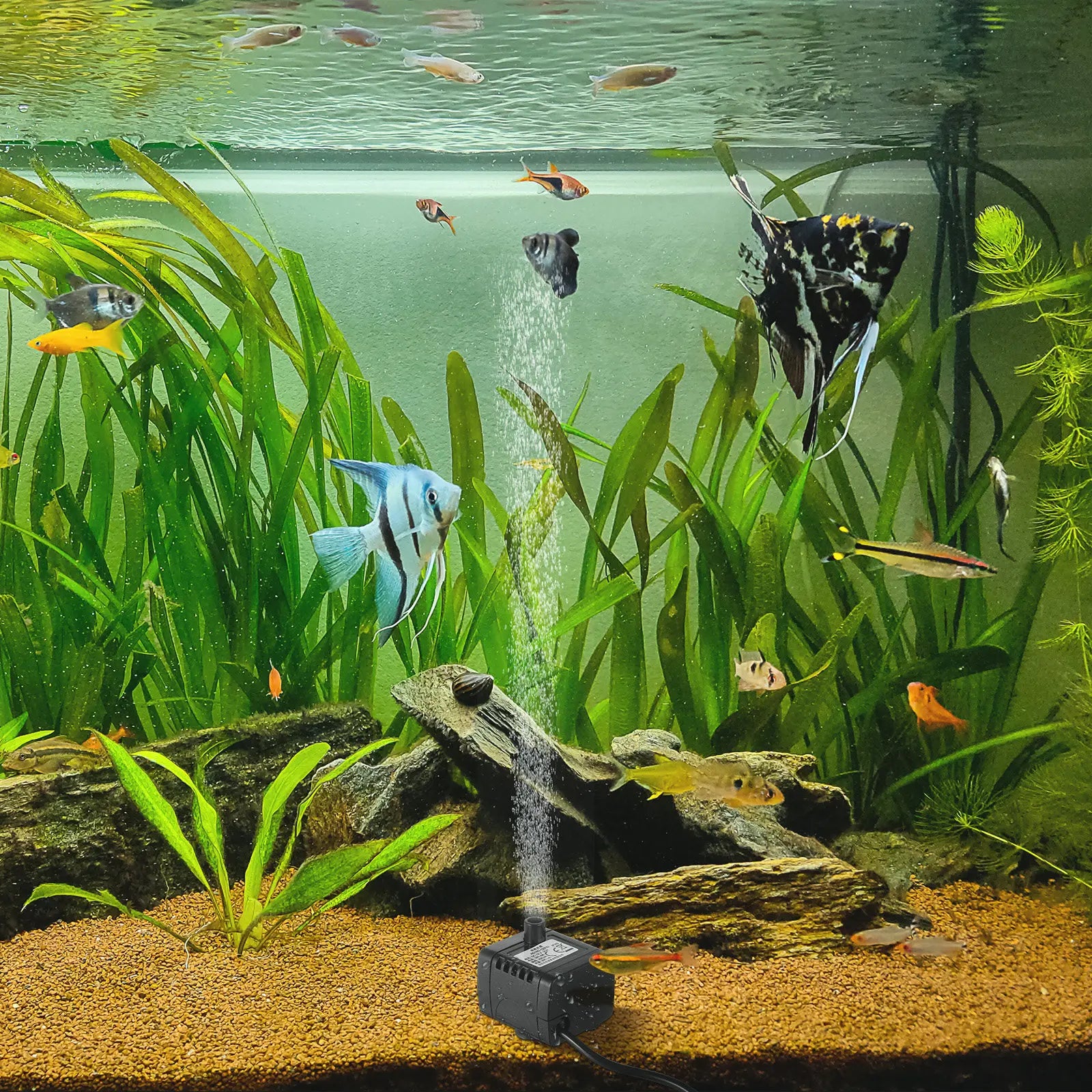 Mini 12V Brushless Water Pump Submersible Aquarium Fish Tank Plastic