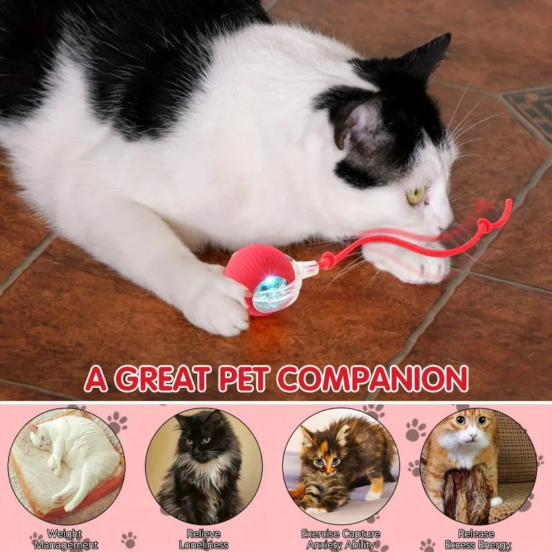 Interactive Cat Toys Automatic Rolling Ball Fake Tail Rechargeable Electric Pet Interactive Toy Dog Training Imitate Mouse Tail Zpaxo