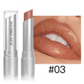 Water Light Solid Lip Gloss, Glossy Tea Brown Lip Tint, Hydrating Plumping Lipstick with Crystal Glass Finish Zpaxo 03