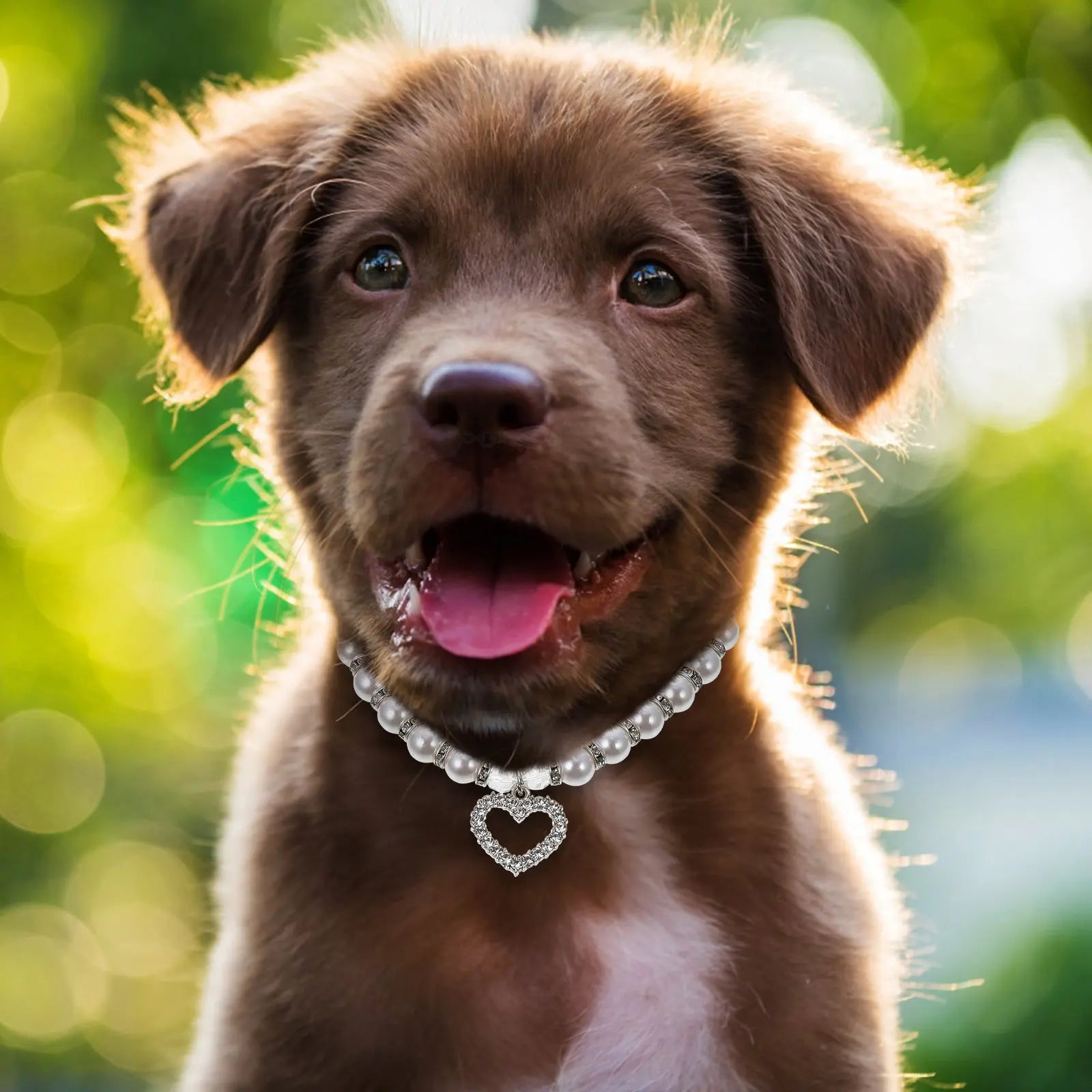 Dog White Pearl Collar Elegant Charming Lightweight Comfortable Pet